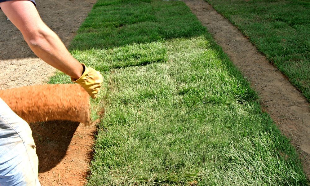 Picture-Perfect Lawn with Sod Installation