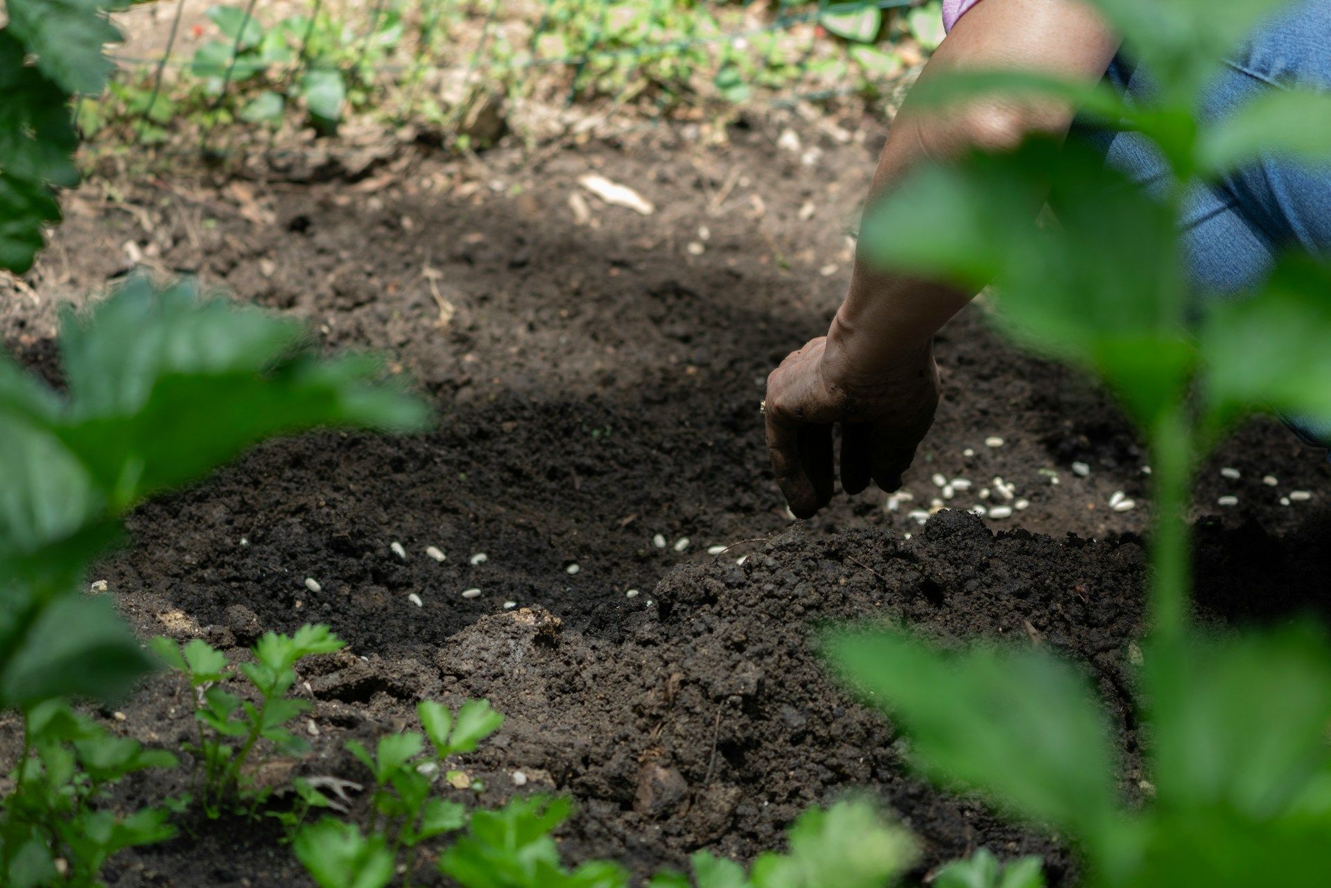 home garden