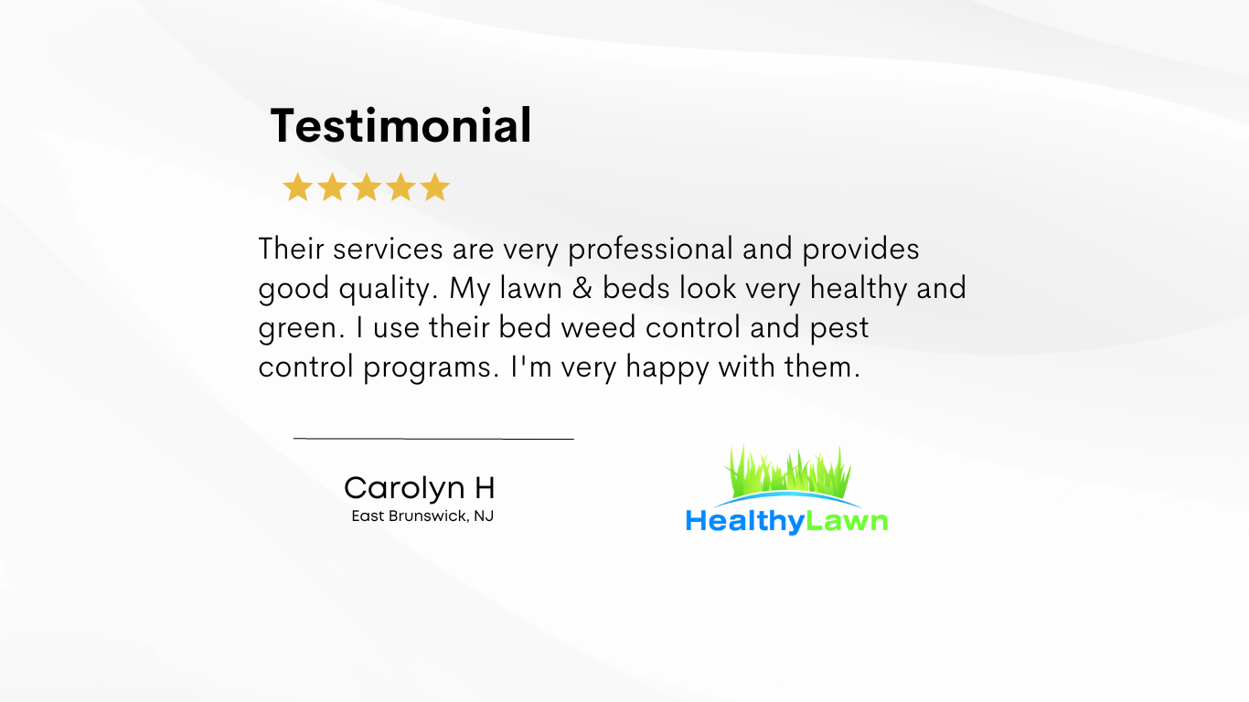 bed weed control service review