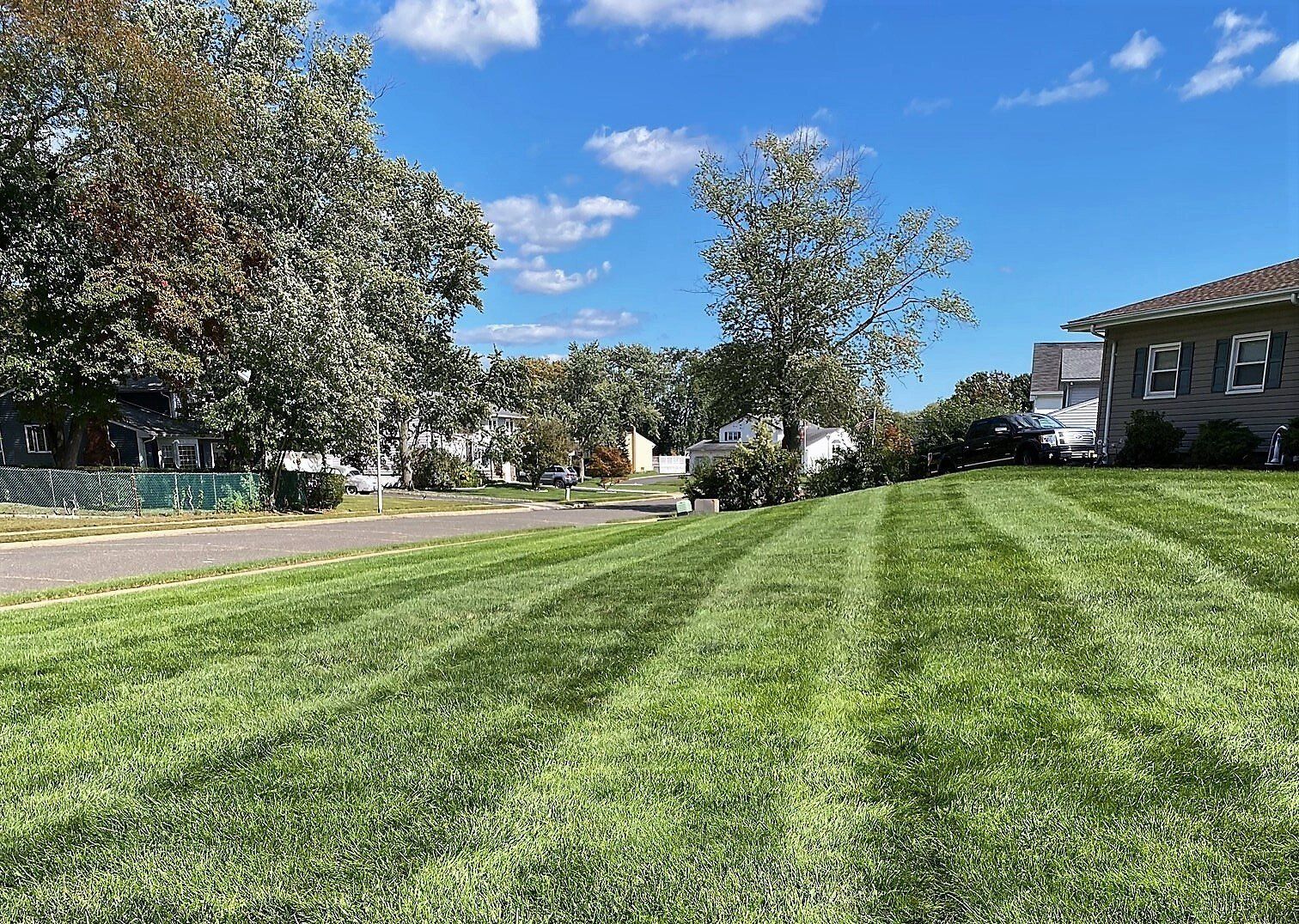 5 Benefits of Having a Healthy Lawn