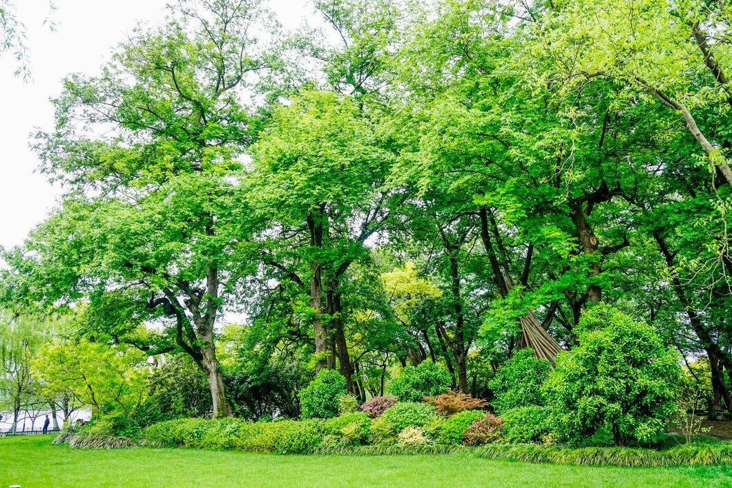 Blog | Lawn Care Services