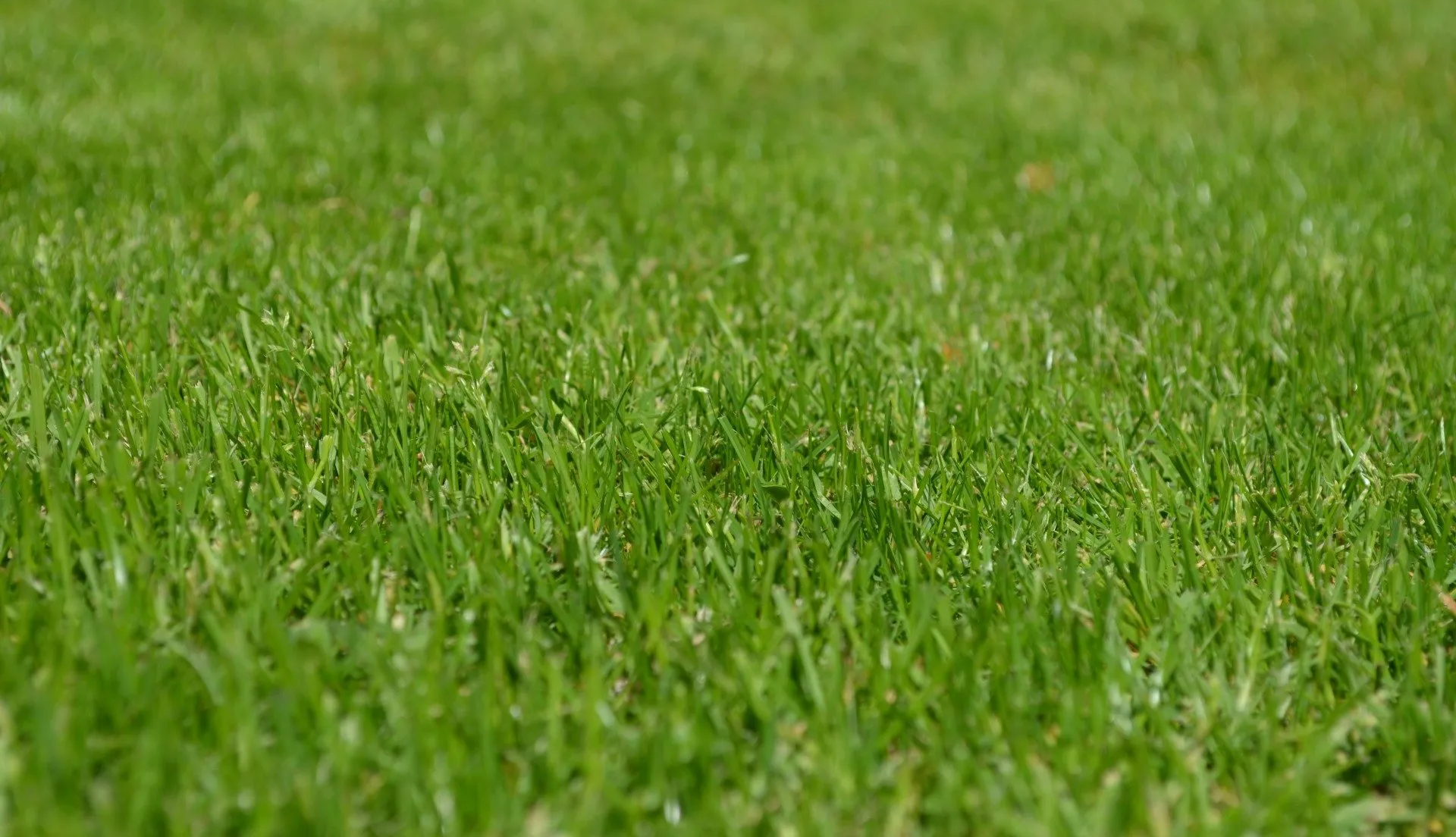 lawn care services in edison new jersey