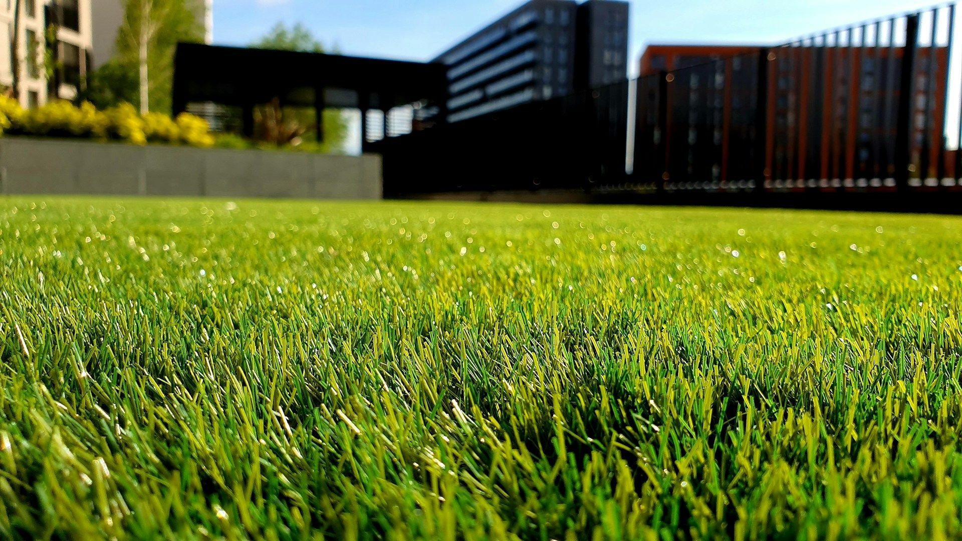 Blog | Lawn Care Services