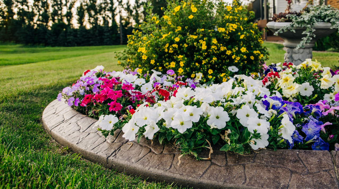 How to Control Weeds in Your Plant Beds