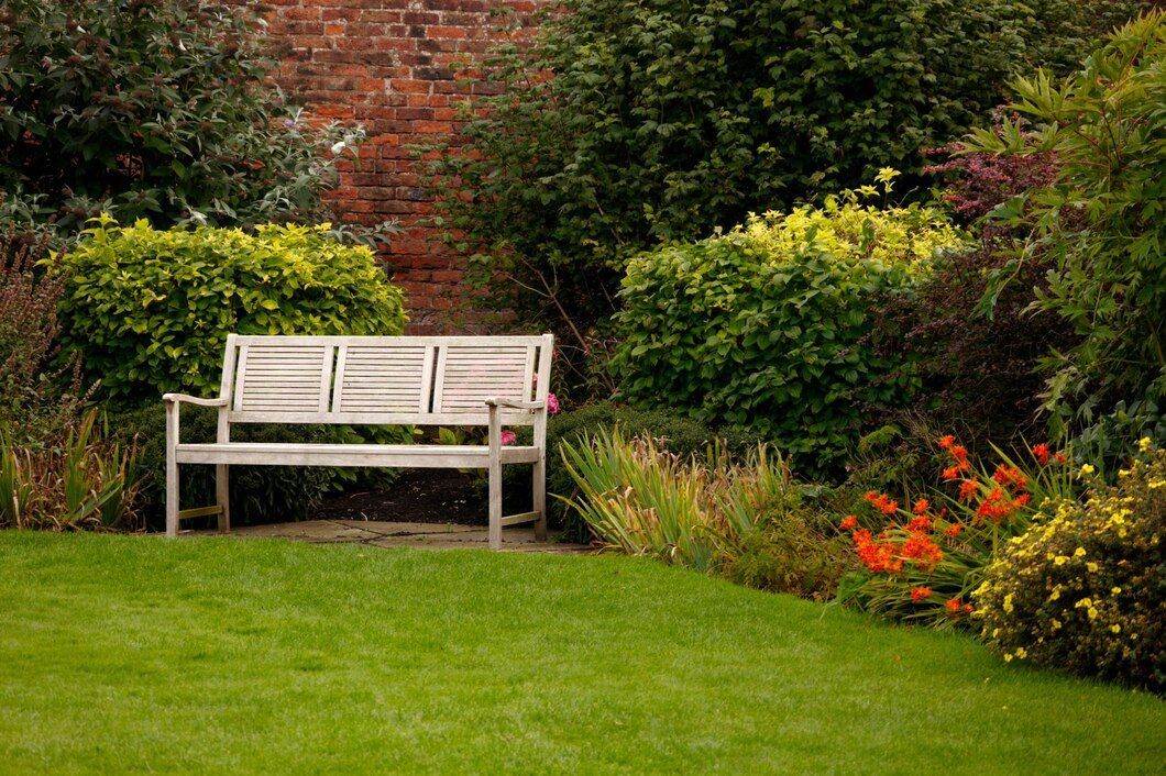 Blog | Lawn Care Services