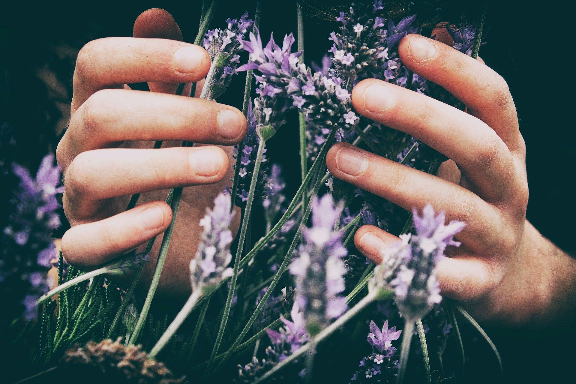 Blog | Lawn Care Services