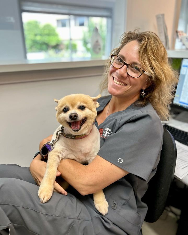 Smiling Vet With a Happy Dog — Veterinary Services in Nambour, QLD