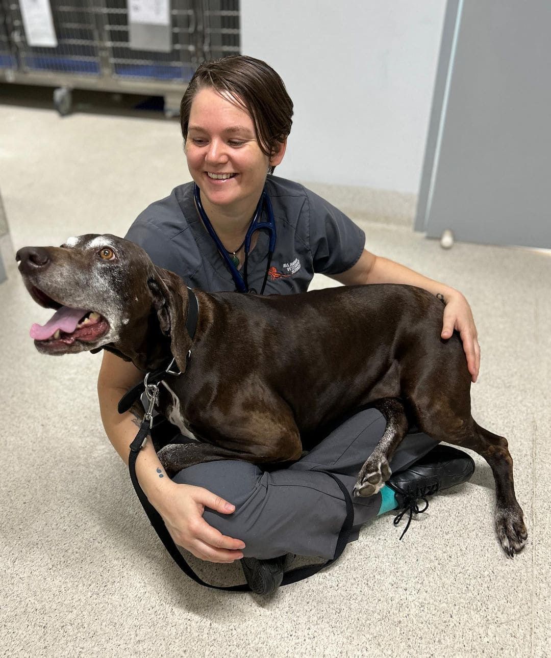 A woman is sitting on the floor holding a brown dog.
