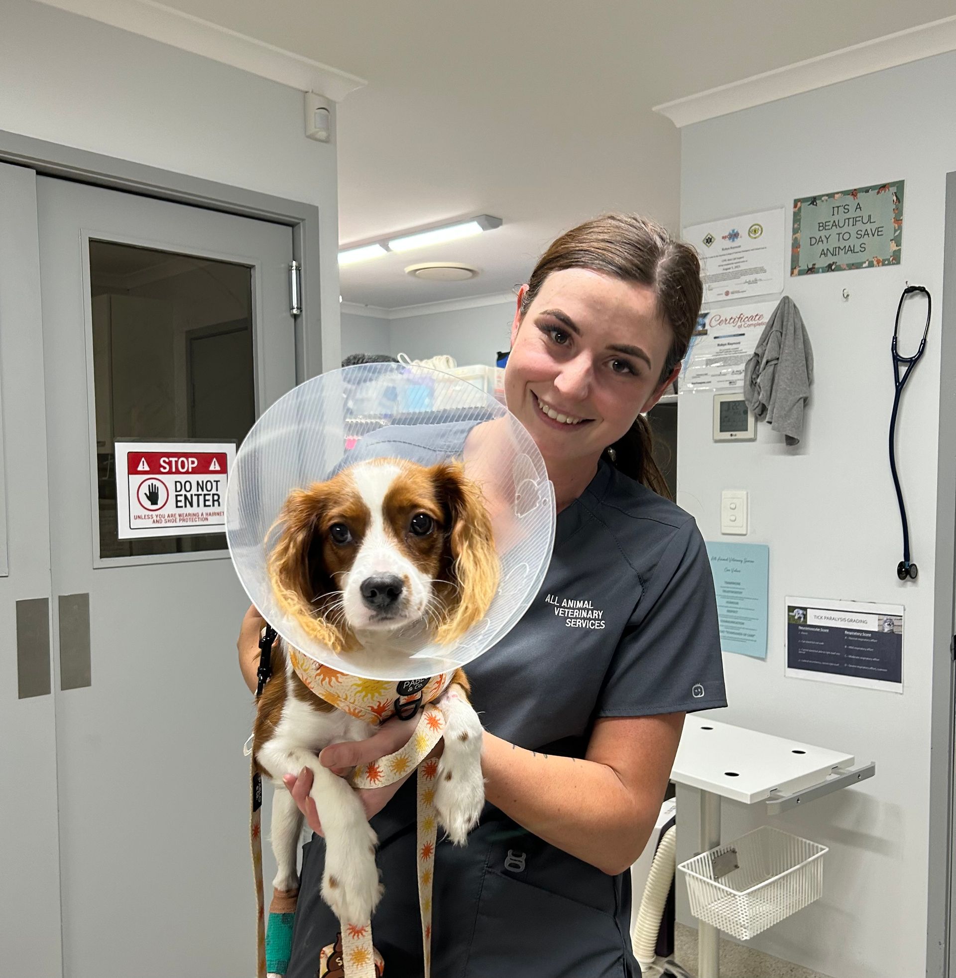 A woman is holding a dog with a cone on its head.