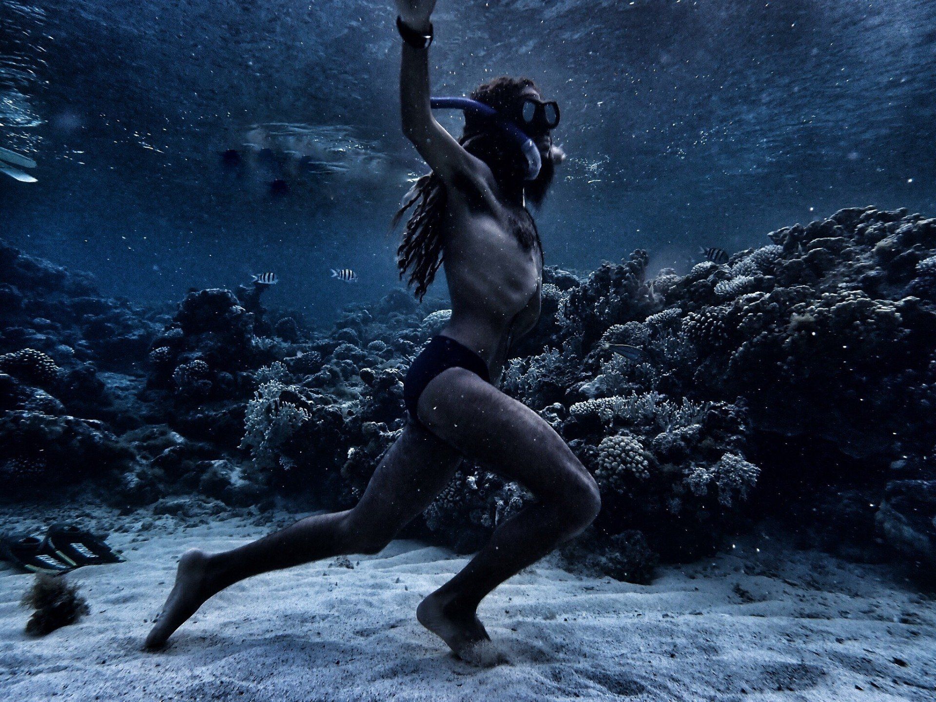 Underwater hunter, freedive photography. Red Sea, Egypt.