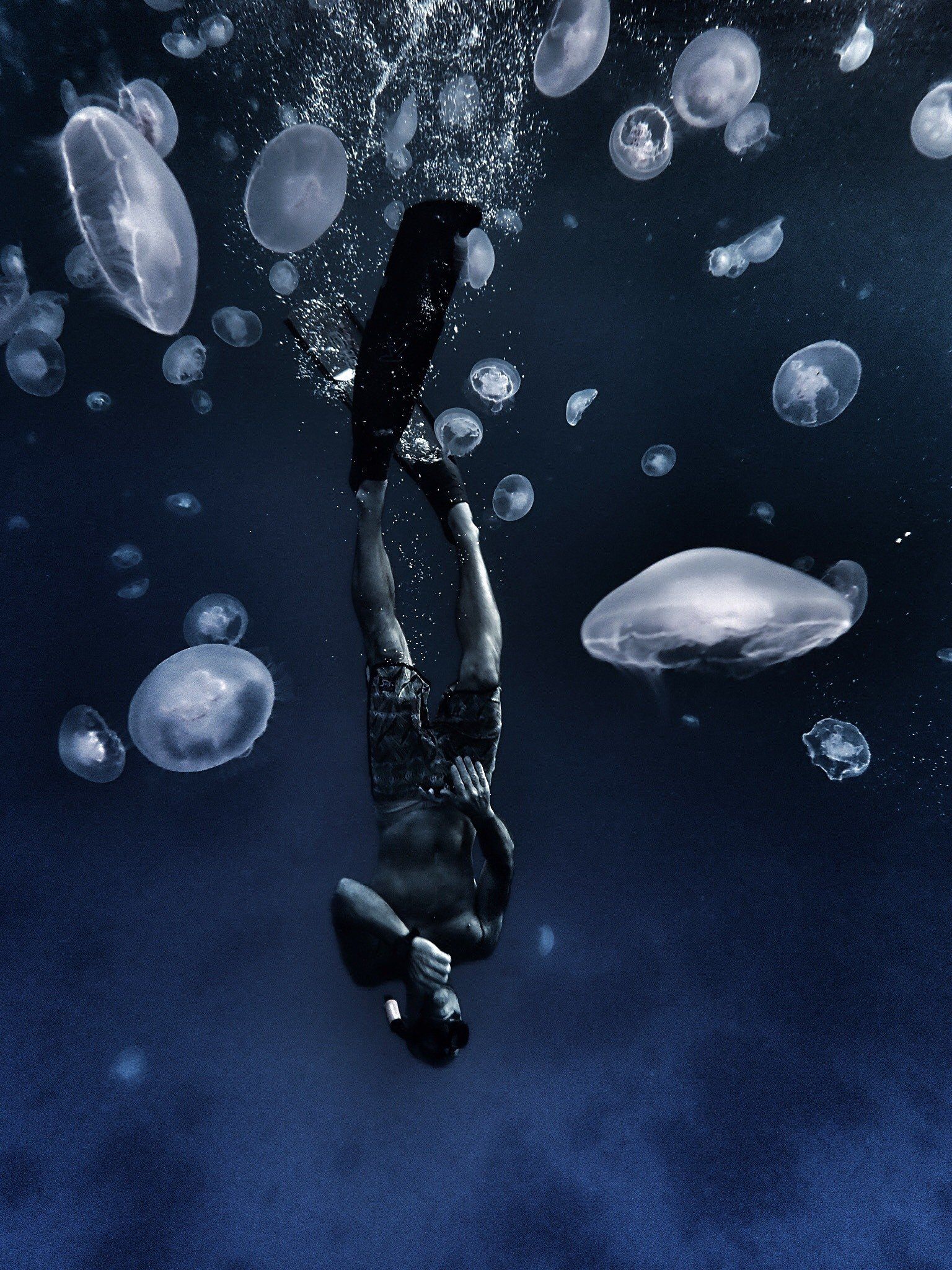 Freediving swimming through jellyfish. Red Sea, Egypt