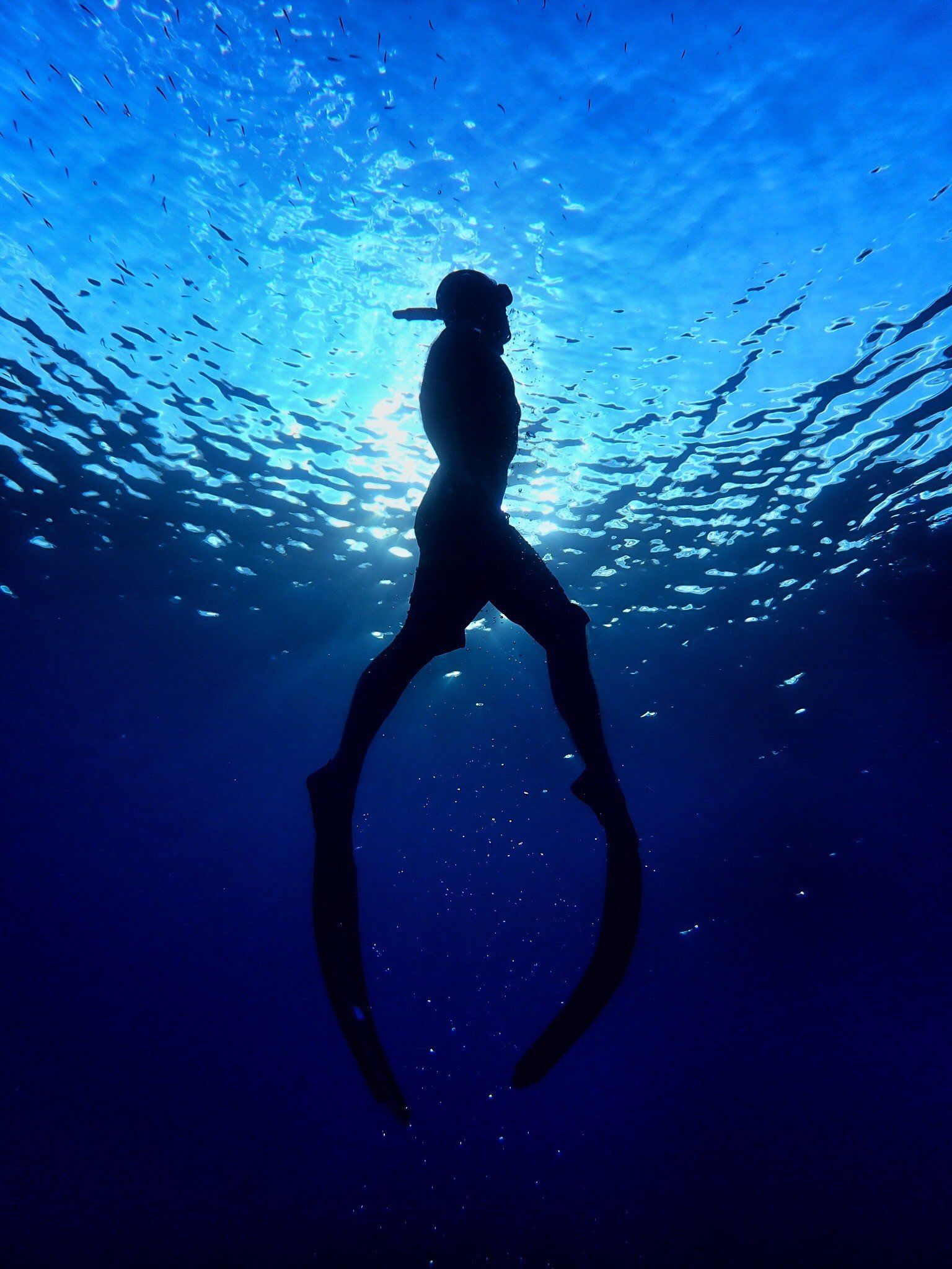 Freediver coming up, ascending. Red Sea, Egypt.