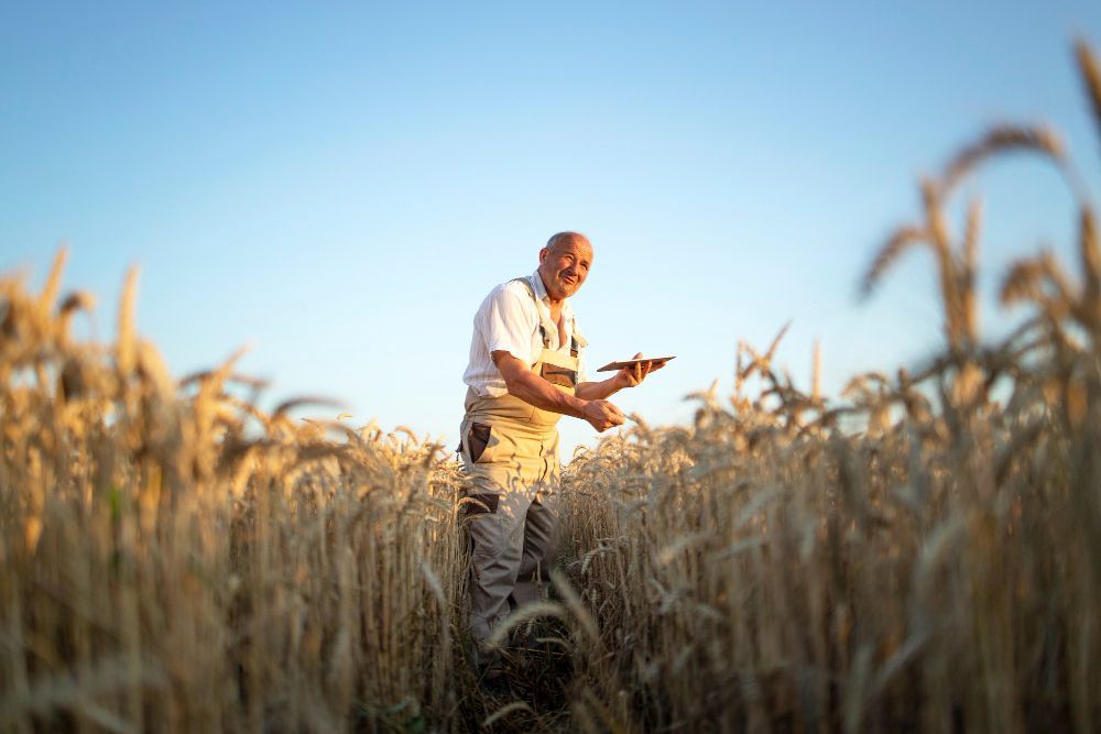 Agriculture