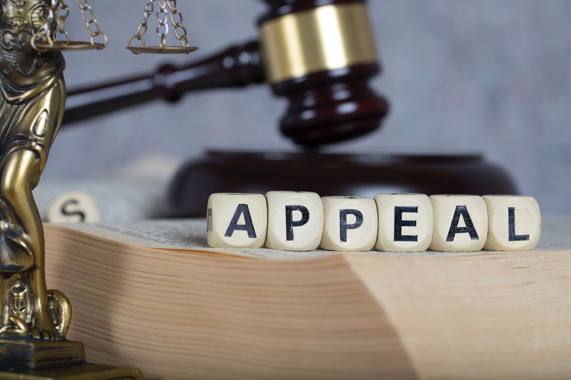 REAC Appeals