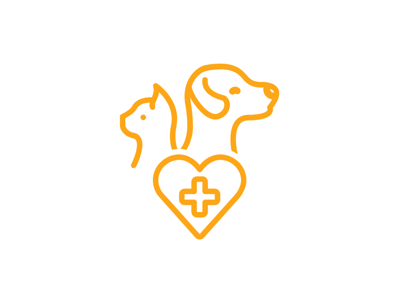 seguro-pet-cachorros-gato-petshop-saúde-canina