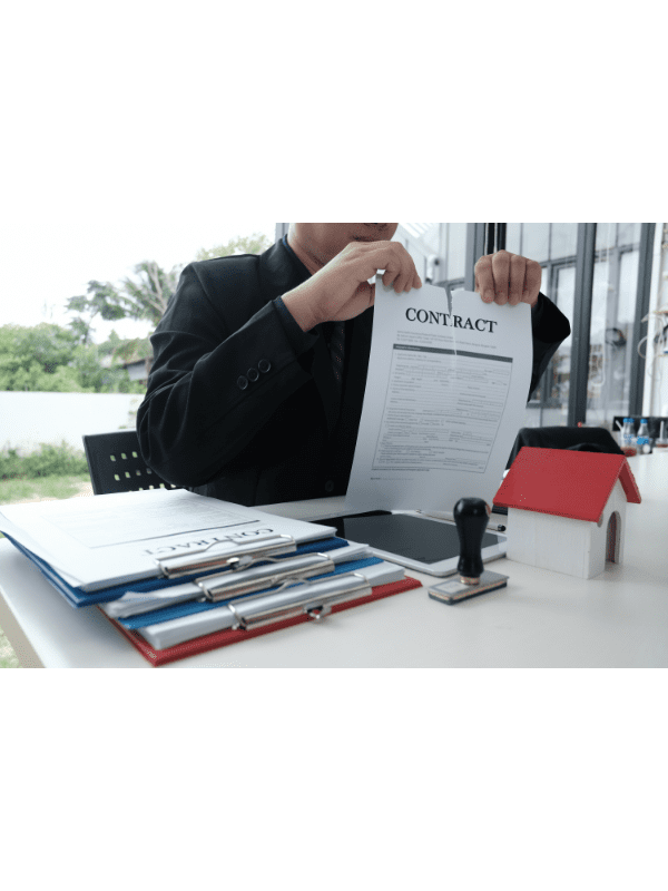 seguro fiança delta lider seguros