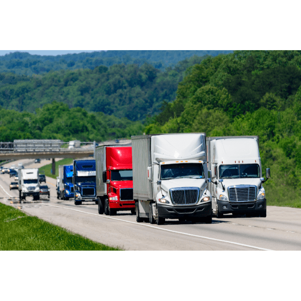 seguro carta azul para viagens do mercosul