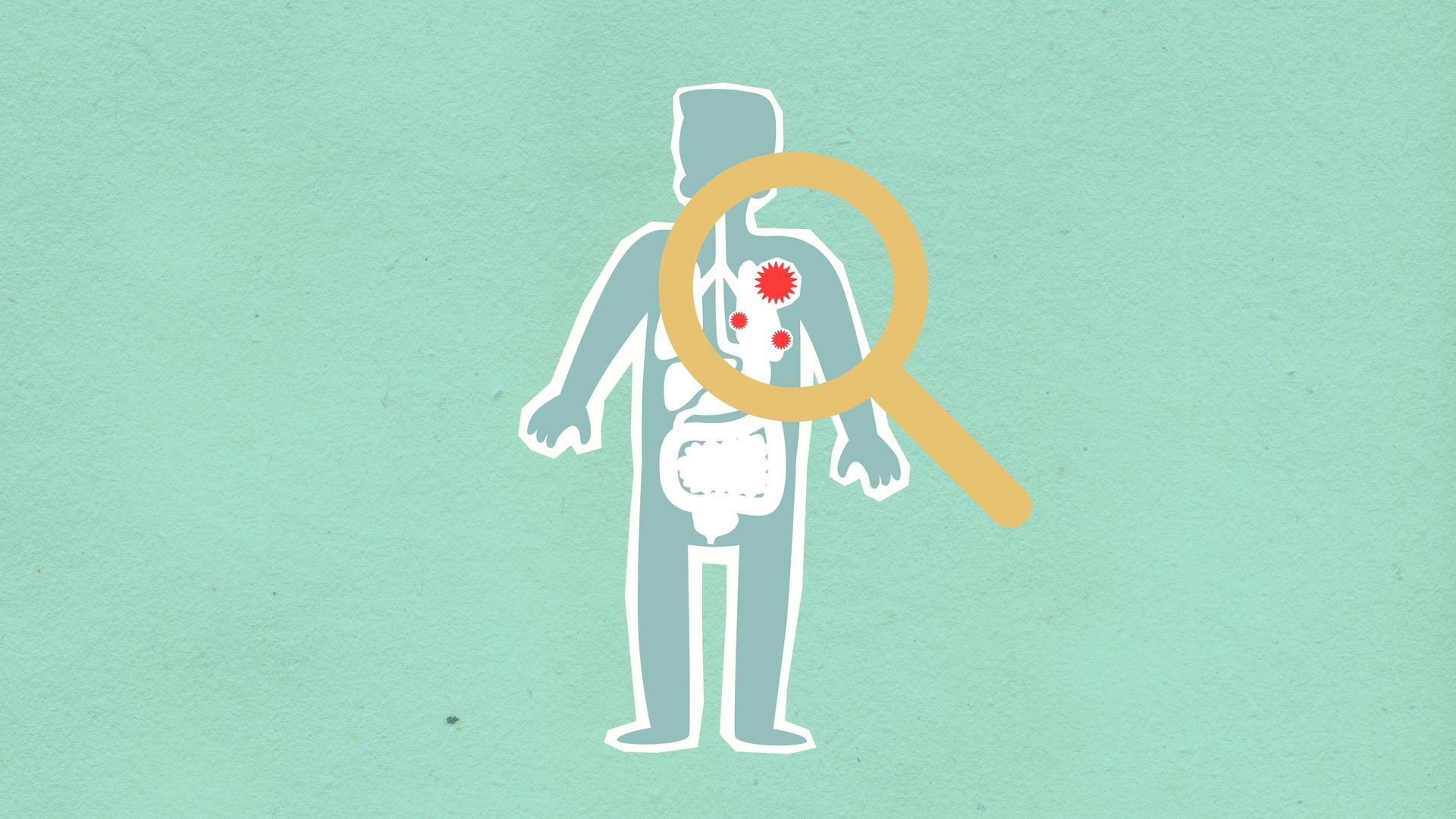 A magnifying glass is being used to look at the inside of a person 's body.