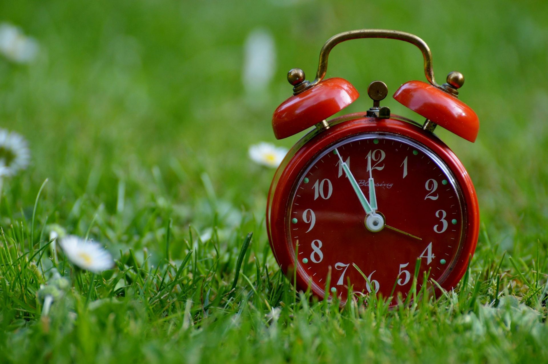 Red alarm clock in grass, clock showing time near eleven.