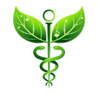 A tree with lots of leaves and branches on a white background.