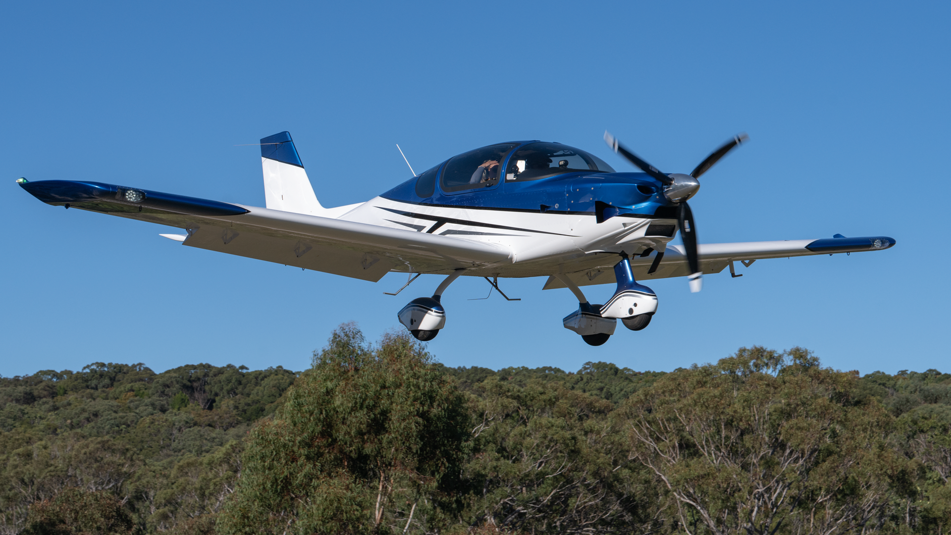 A small plane is flying over a field of trees