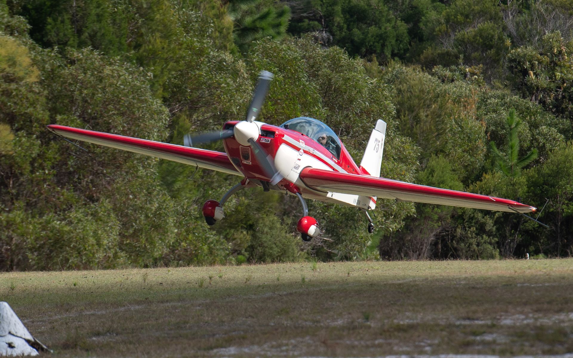 a small red and white plane is taking off from a runway .
