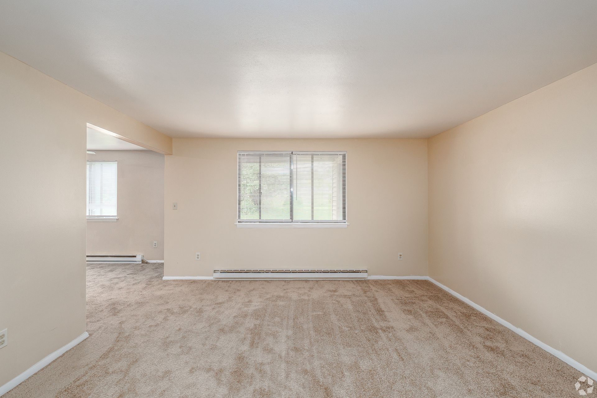 Empty carpeted living room with white walls and a window