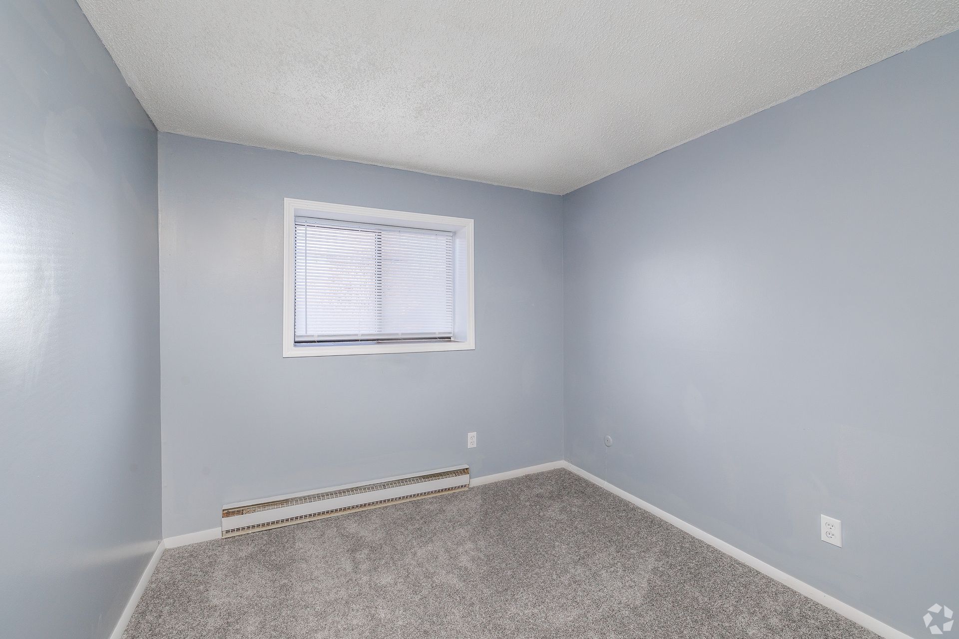 Empty light-blue bedroom with gray carpet and a small window with blinds.