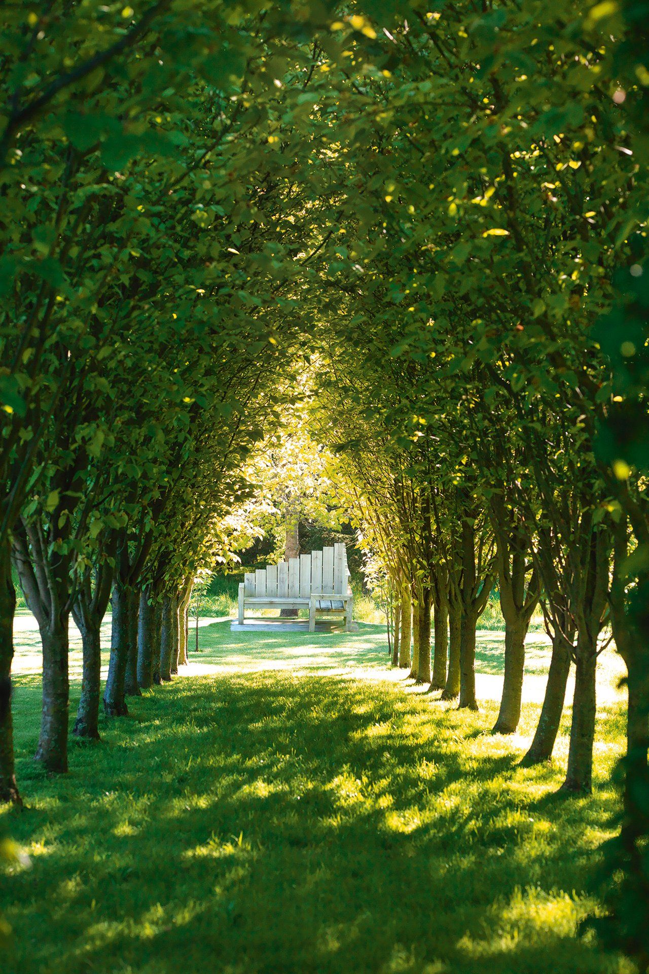 Barewood Garden Marlborough NZ