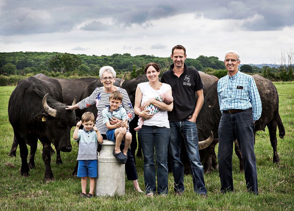 A family is posing for a picture in front of a herd of water buffalo.