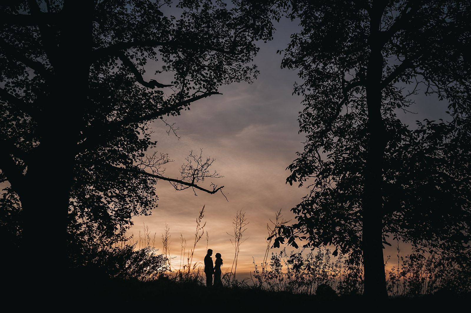 A couple standing under a tree at sunset.