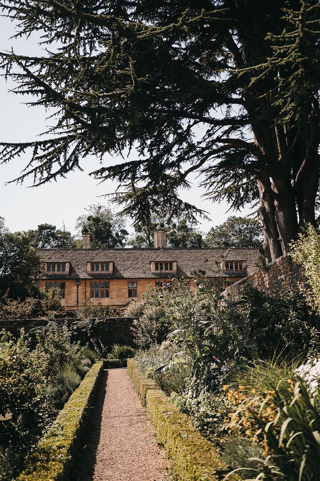 A path leading to a house surrounded by trees and bushes.