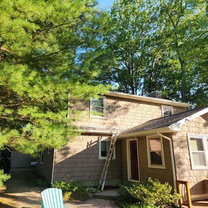 A house with a ladder on the side of it is surrounded by trees.