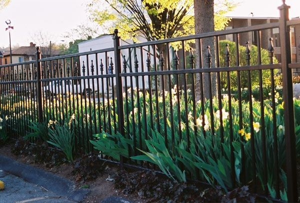 pink and purple flowers