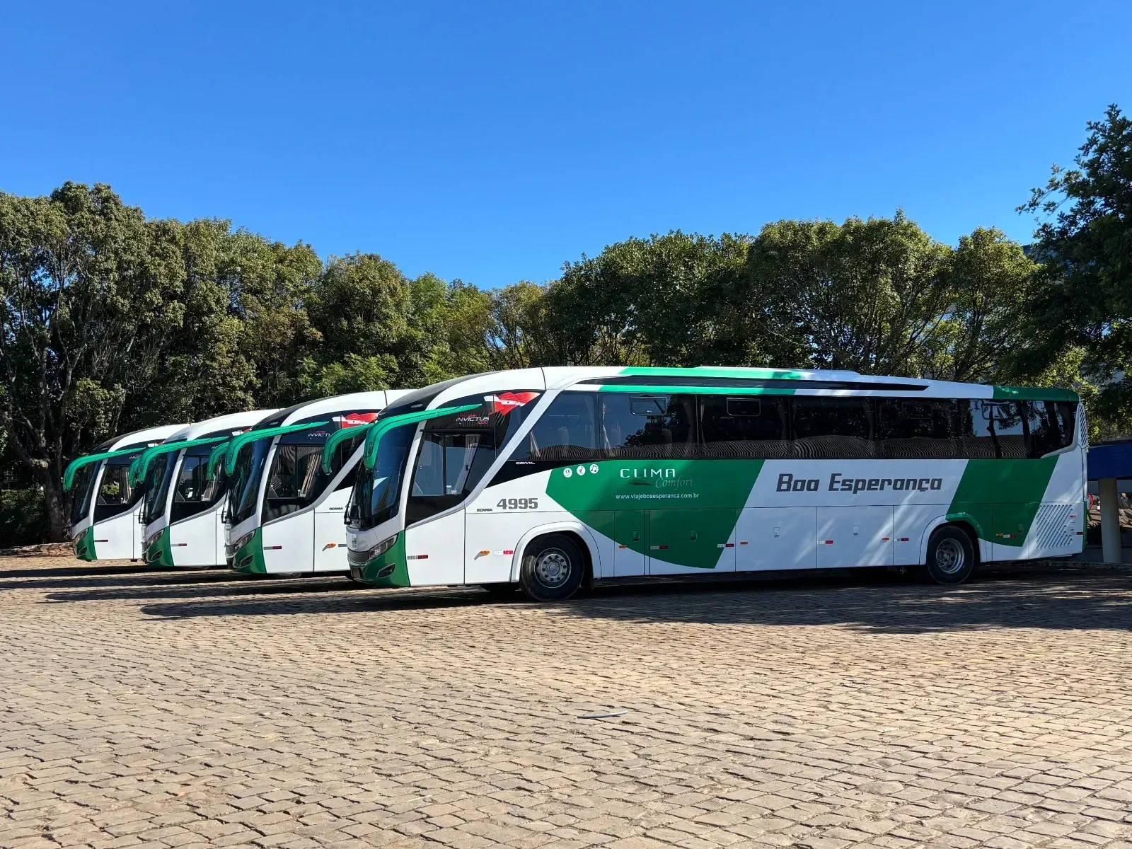 Uma fileira de ônibus verdes e brancos estão estacionados em um estacionamento.