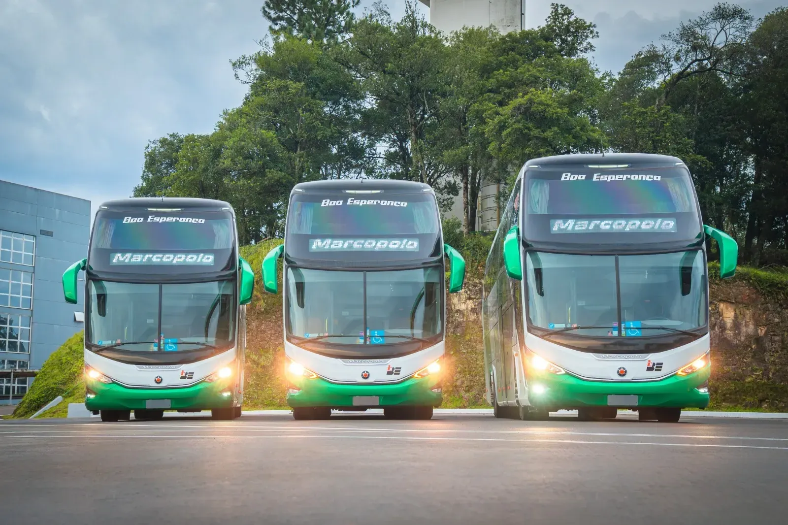 Três ônibus estão estacionados um ao lado do outro na beira da estrada.