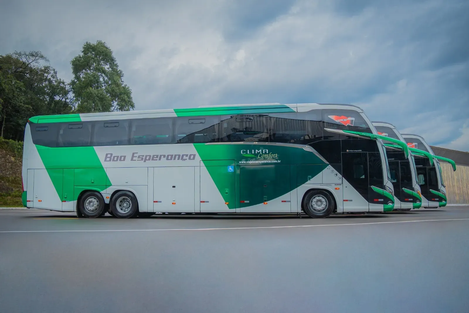 Uma fileira de ônibus verdes e brancos estão estacionados na beira da estrada.