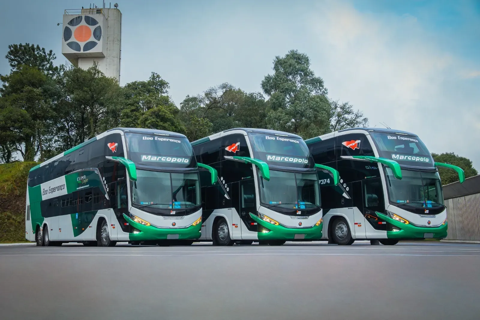 Quatro ônibus verdes e brancos estão estacionados um ao lado do outro na beira da estrada.