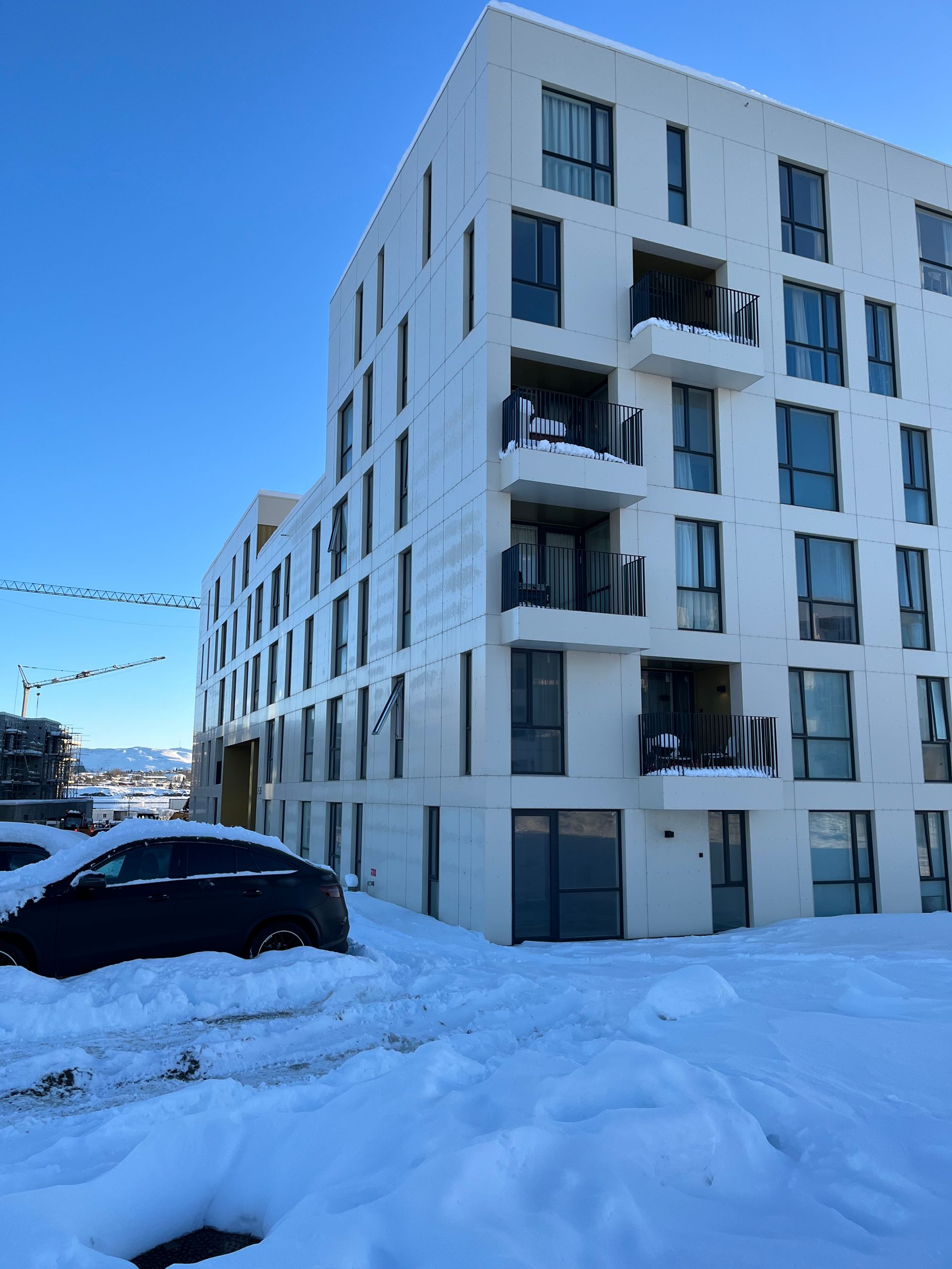 Rúmfræðilegt loft með hringlaga þakglugga, mynstrað með línum og demantsformum, í svörtu og hvítu.