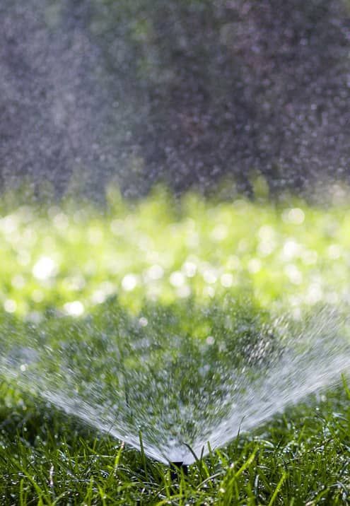 Sprinkler spraying water onto green grass, creating a misty spray against a blurred background.