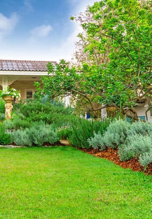 Lush green lawn with a garden bed of varying greenery and a house in the background. Bright sky.