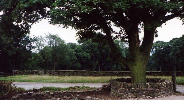 Stone walling services 3