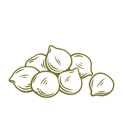 soap nuts icon