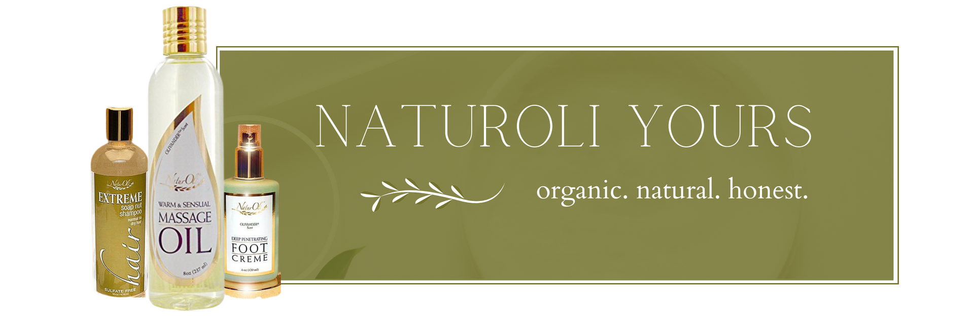 naturoli logo banner