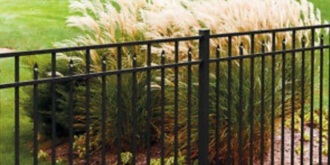 A black metal fence surrounds a bush in a yard.