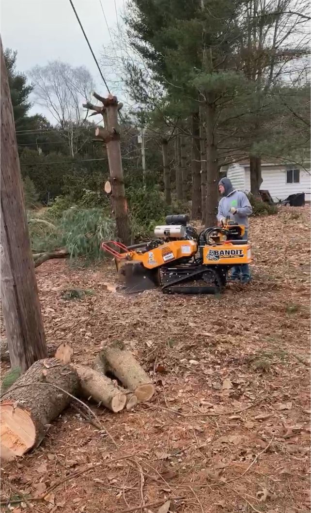 Worker Using Stump Grinding Machine