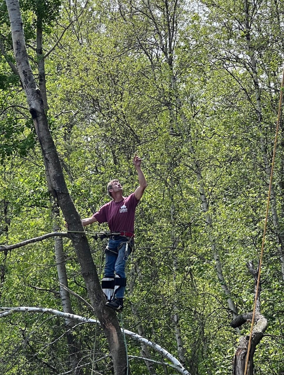 Worker Checking Tree Condition