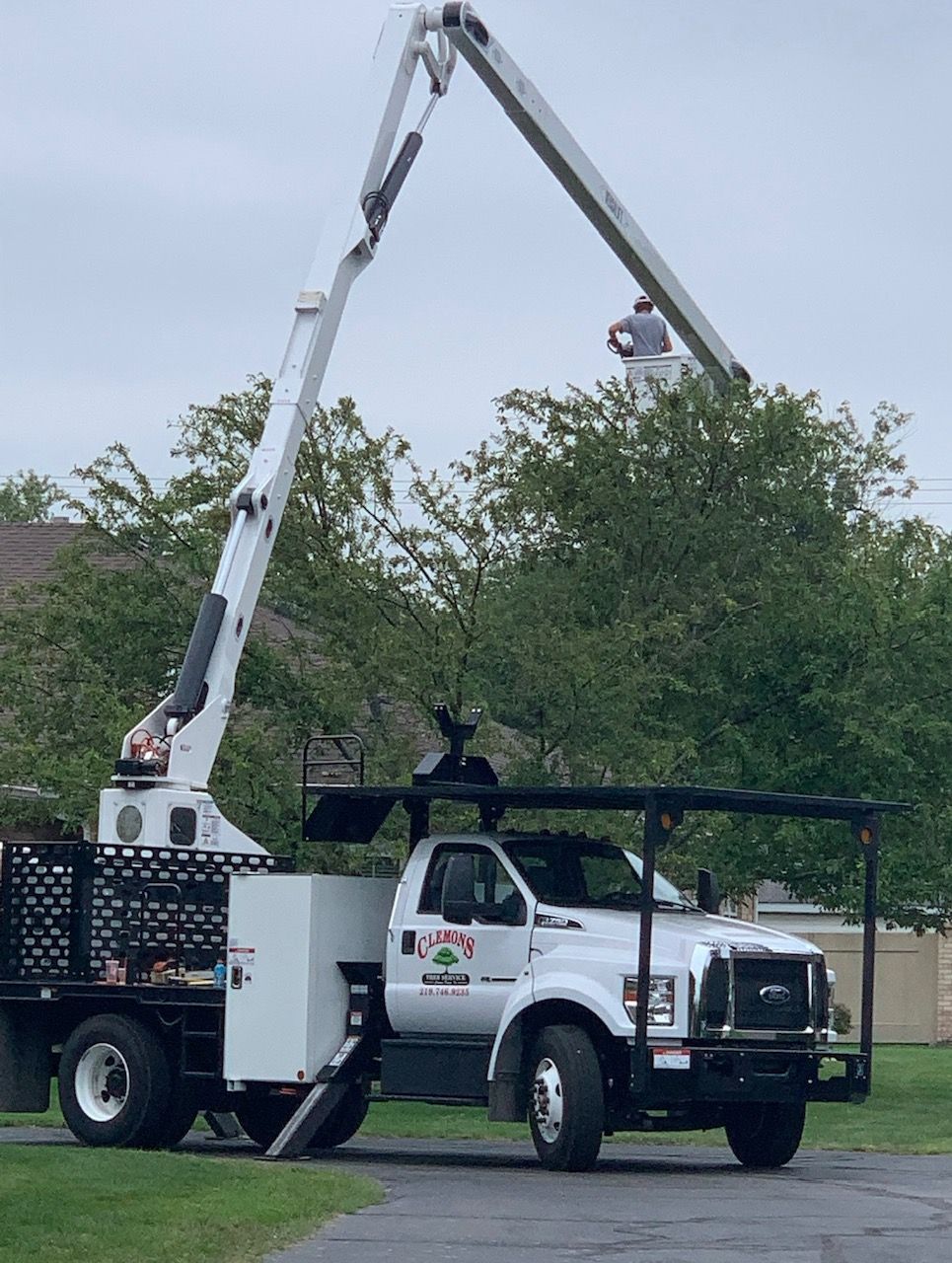 Arborist on a Bucket Crane