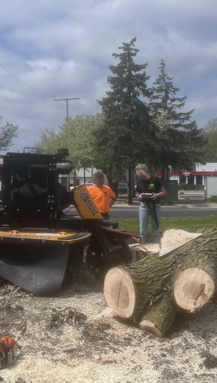 Stump Grinding Machine