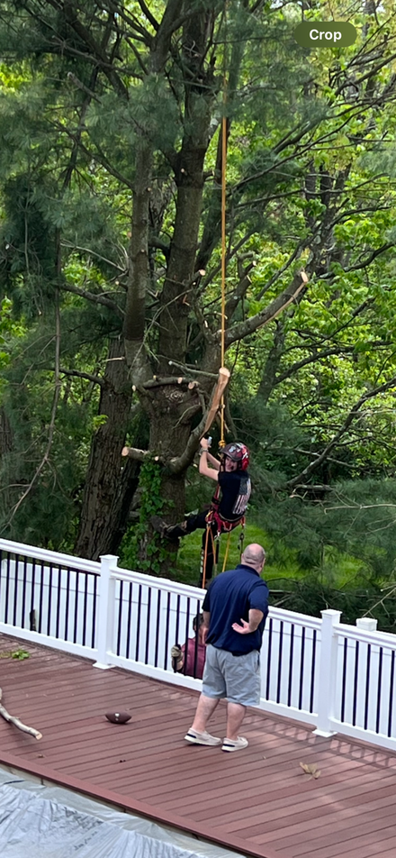 Garrett climbing pines for a complete takedown